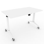 SS Folding Table
