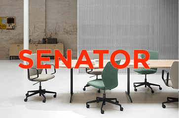 Senator